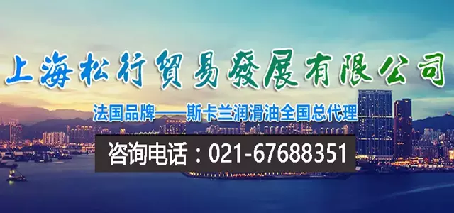上海松行贸易发展有限公司